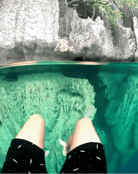 【閲覧注意】海や湖が怖くなる画像くださいPart4
