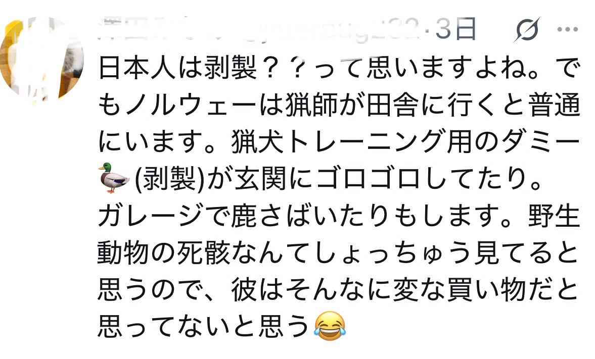 【W杯】史上初8強のノルウェーが凱旋帰国 ハーランドは約12万円の“アライグマ”小脇に抱える