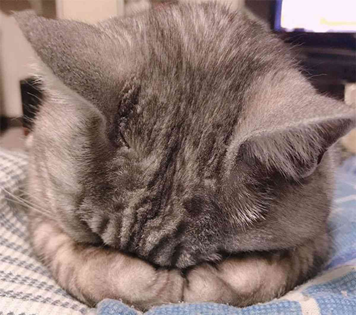 客として、見ないほうがよかったもの