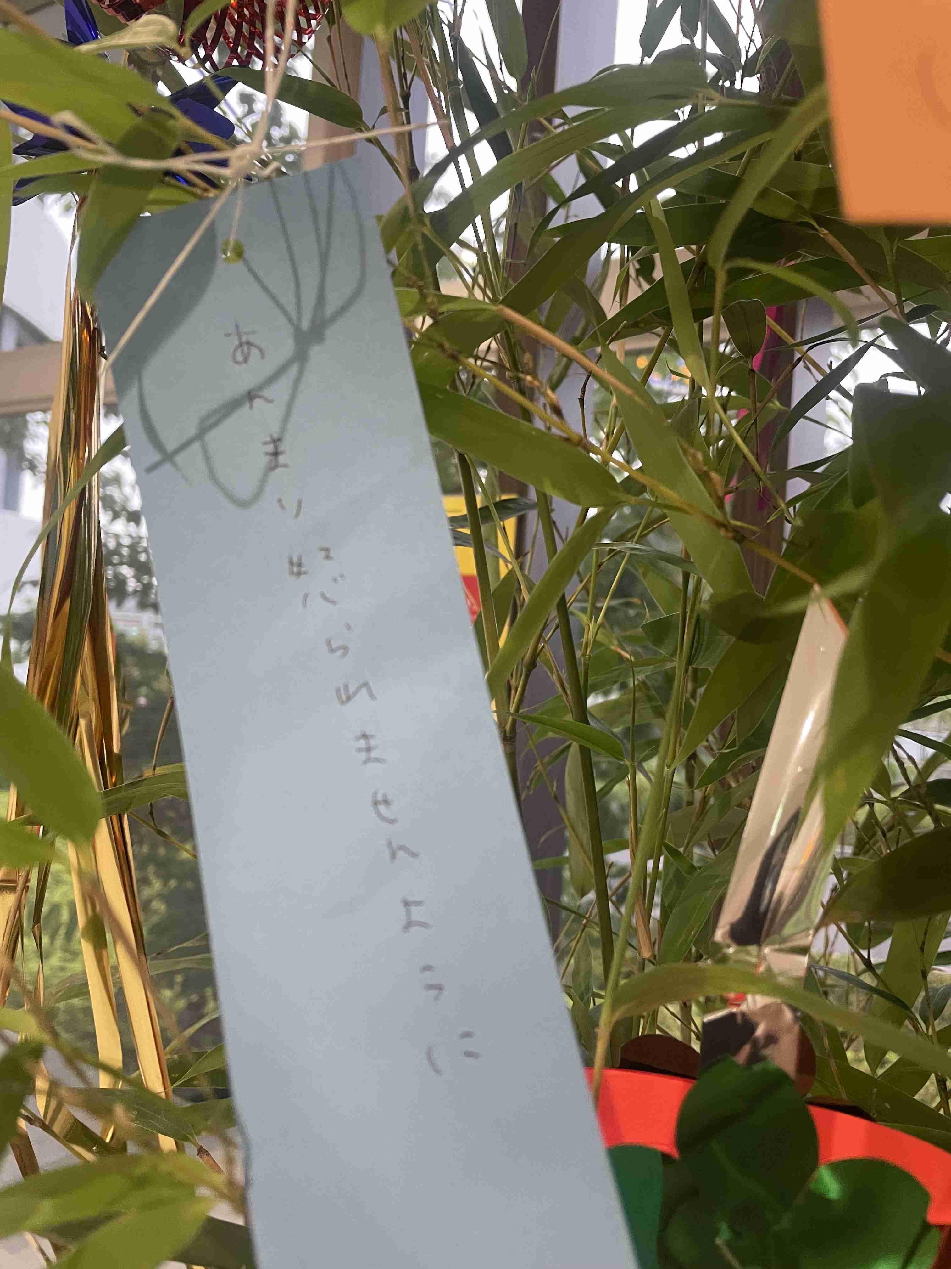 🎋短冊見ちゃう・書いちゃう人🎋