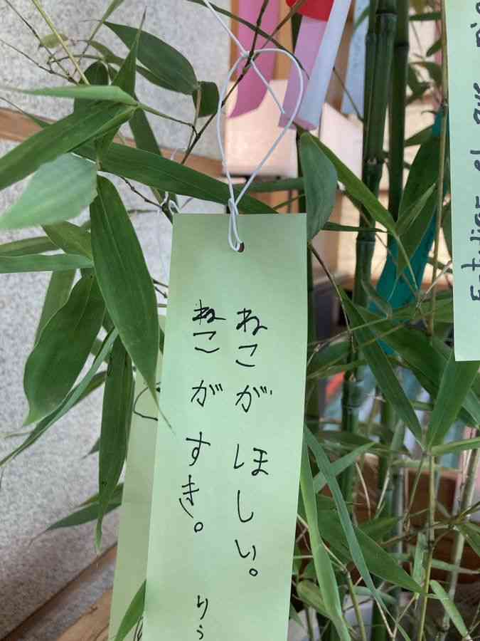 🎋短冊見ちゃう・書いちゃう人🎋