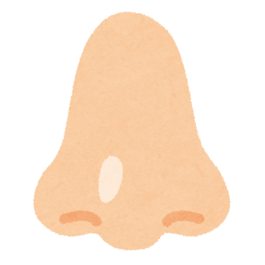 鼻の整形について語りたい