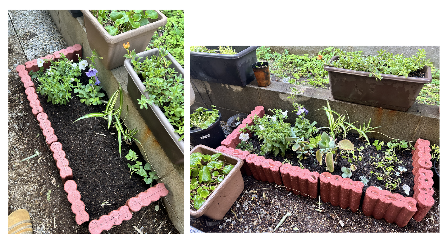 【ガーデニング】ガルちゃん園芸部【花・植物】part.58