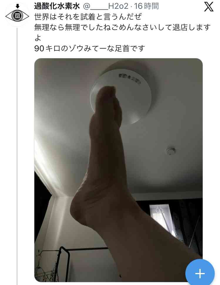 私90kgのデブだから接客されないのは百も承知なんだけど、さすがに靴くらいは接客してほしかった→体型によって接客態度が変わるの?