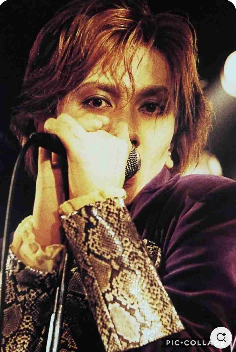 THE YELLOW MONKEY 好きな人