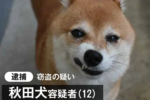 怒っている動物を載せるトピ