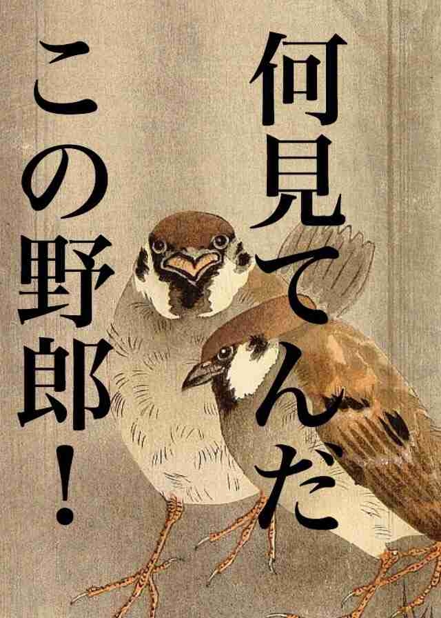 怒っている動物を載せるトピ