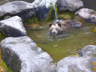 うつ病でお風呂に入れない現状を少しでも変える知恵を教えて下さい