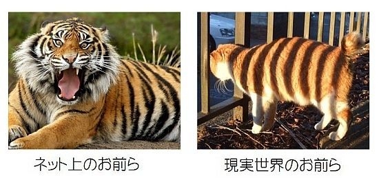 ガルちゃんでの性格、普段とどう違う？
