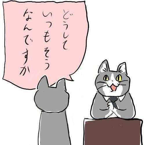 義理家族の面会行く？