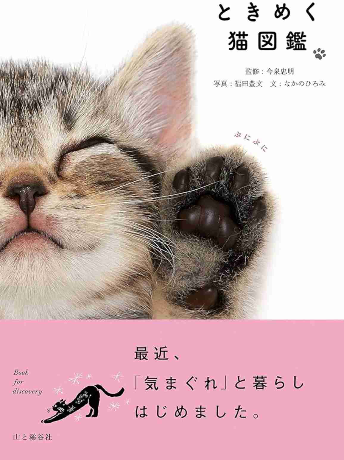 トキメキが欲しい