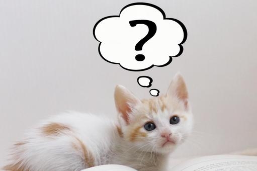 今更だけど、どういう意味？ってワード