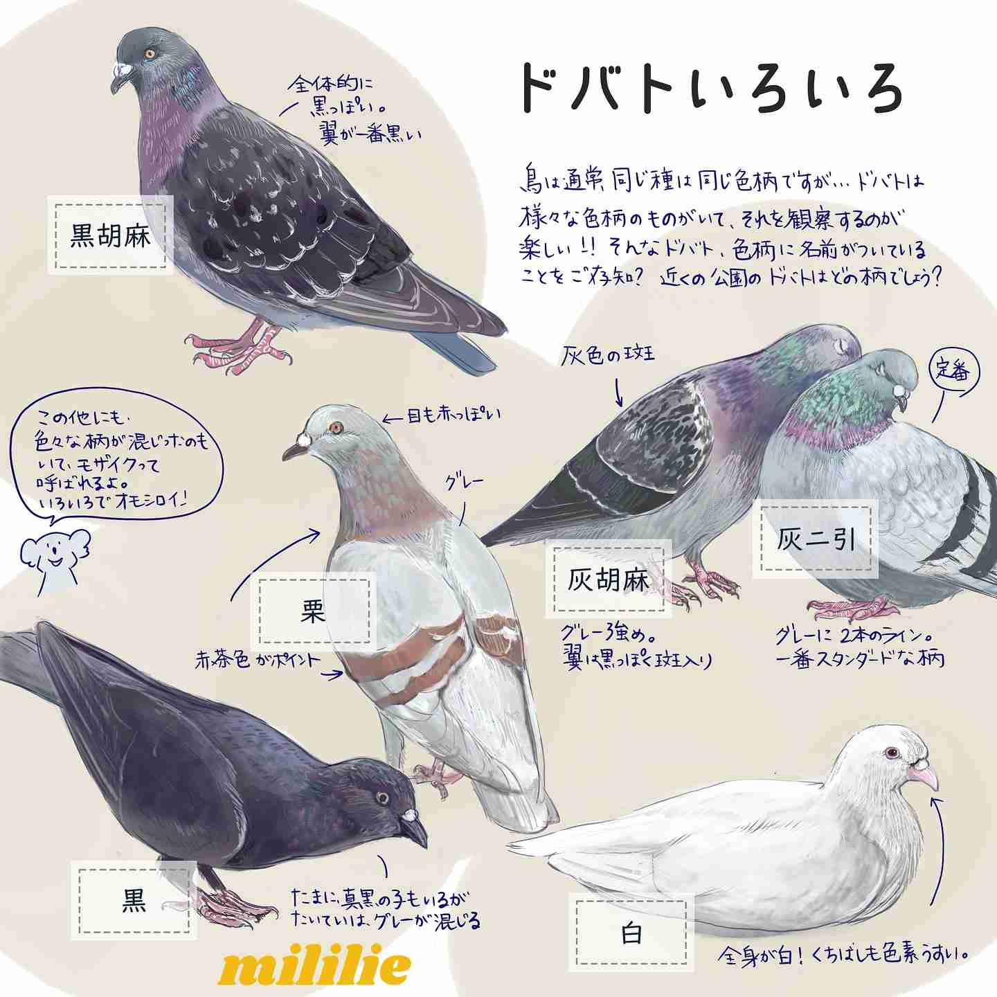 今更だけど、どういう意味？ってワード