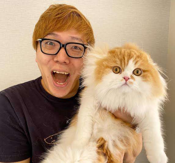 猫YouTuberになりたい