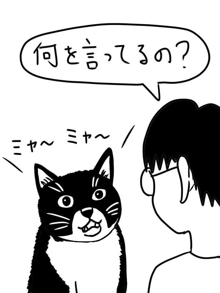 猫YouTuberになりたい
