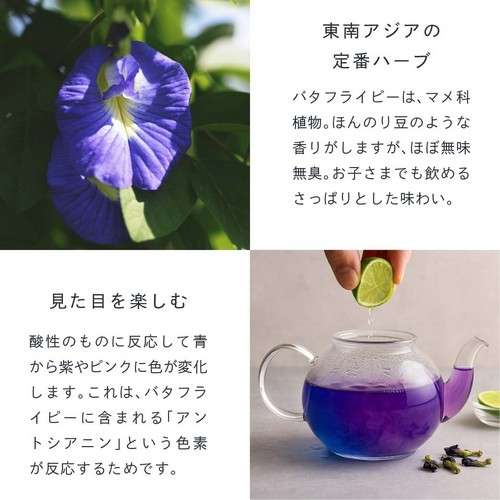 おすすめの健康茶
