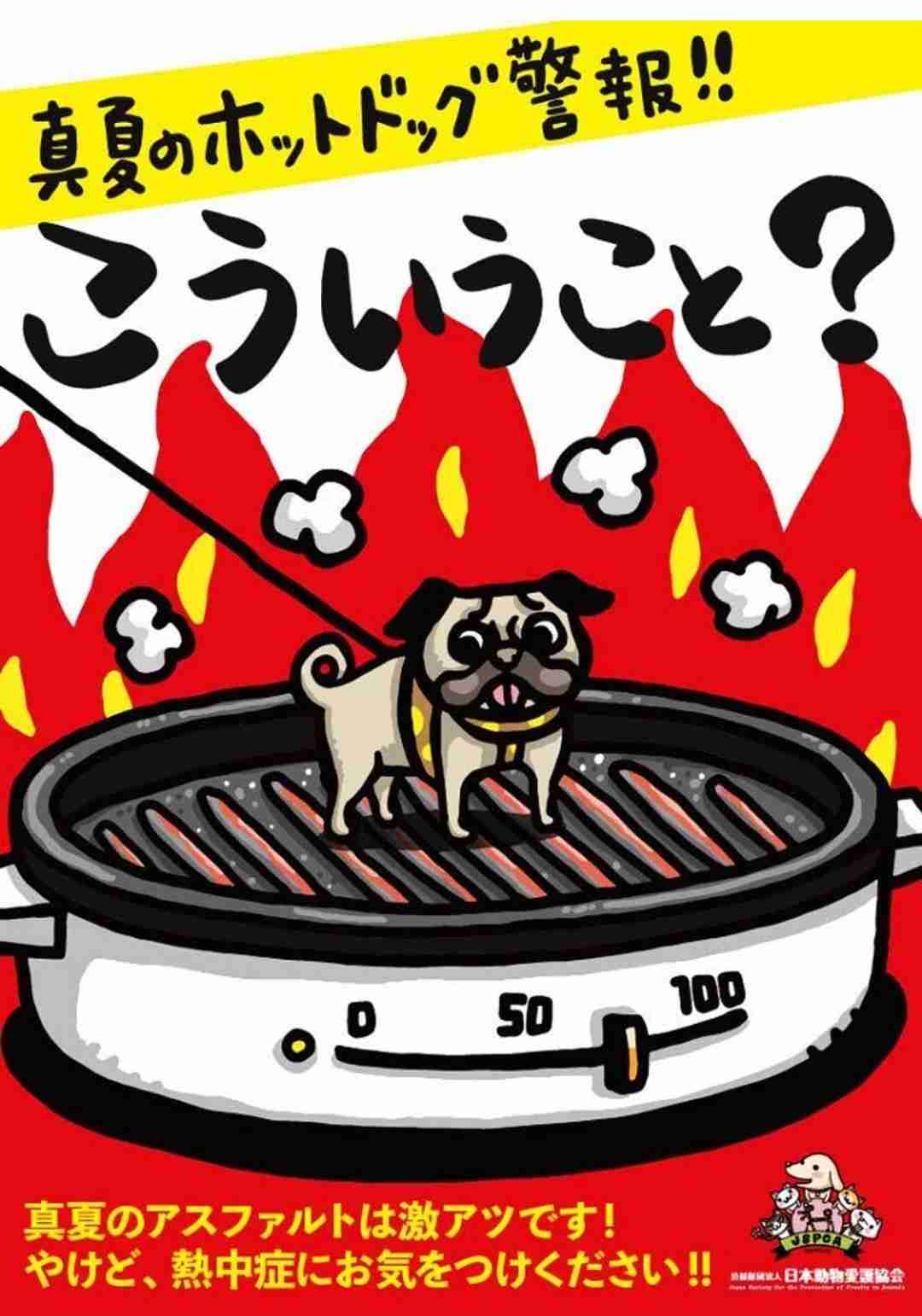 カズレーザー、炎天下・都心での犬散歩に「山行けよ」と苦言