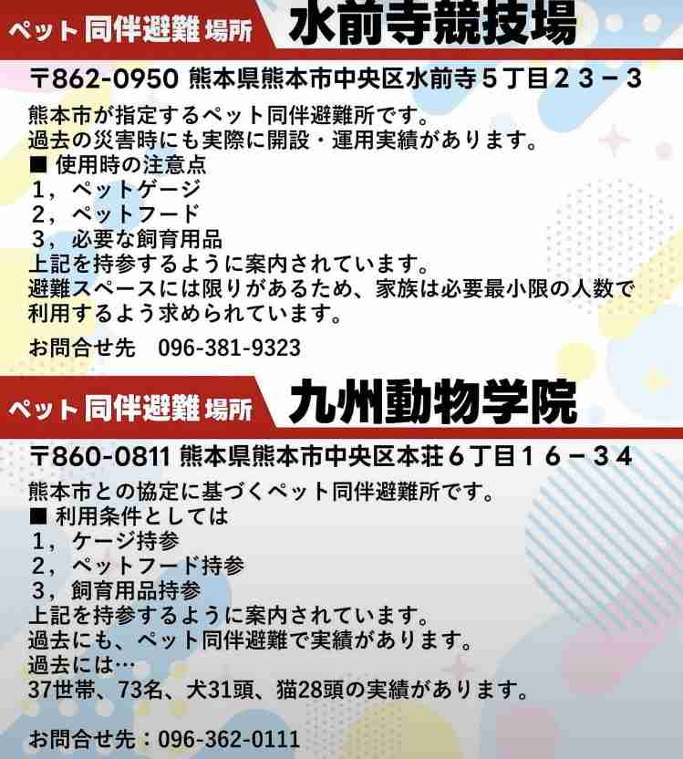 イオンモール熊本の「猫カフェ」 猫、現在も取り残される 運営会社が発表「避難準備中に爆発が発生」