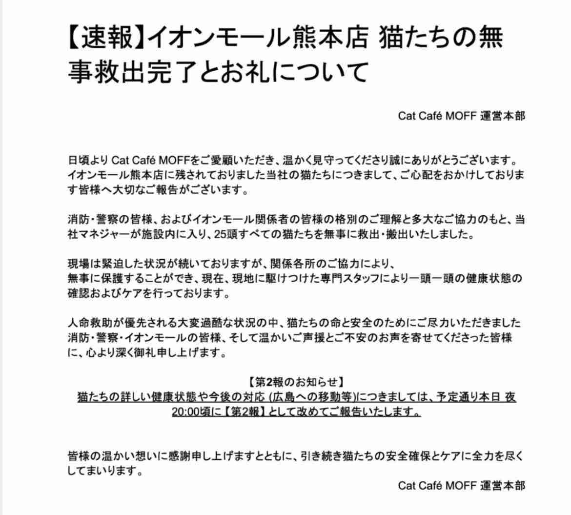 イオンモール熊本の「猫カフェ」 猫、現在も取り残される 運営会社が発表「避難準備中に爆発が発生」