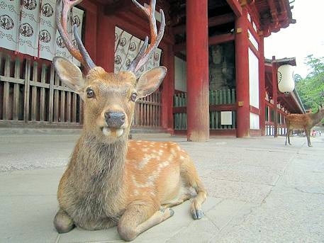 広島旅行