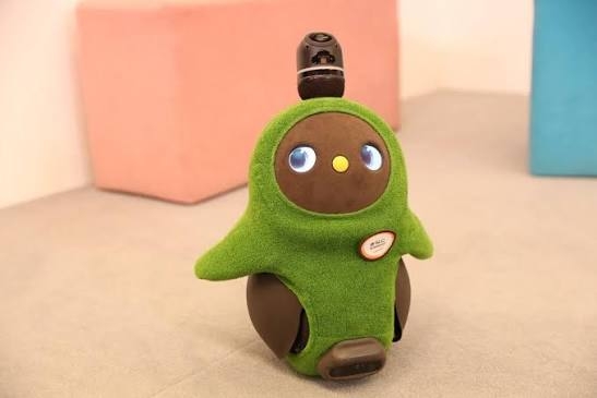 本当に流行ってるの？と思うファッションアイテム