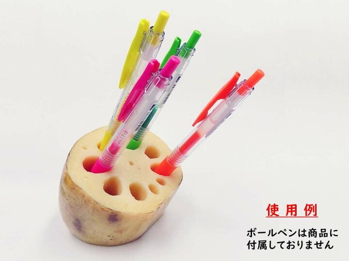 食品サンプル好き集合