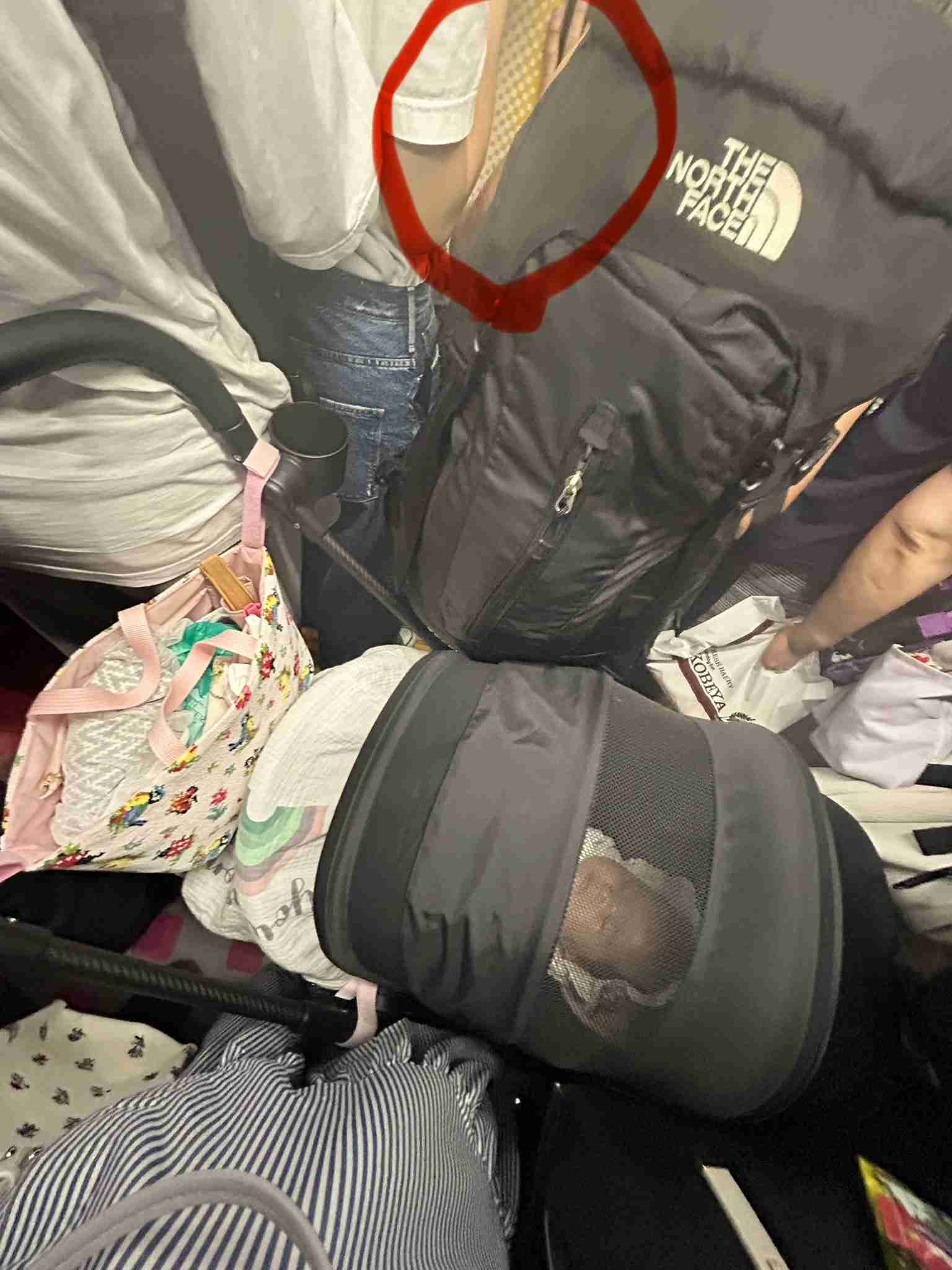 〈満員山手線にベビーカーで炎上〉「折りたたまず乗車できる」はずなのに「避けるべき」「みんなで守るもの」と賛否…JR東日本が示した見解