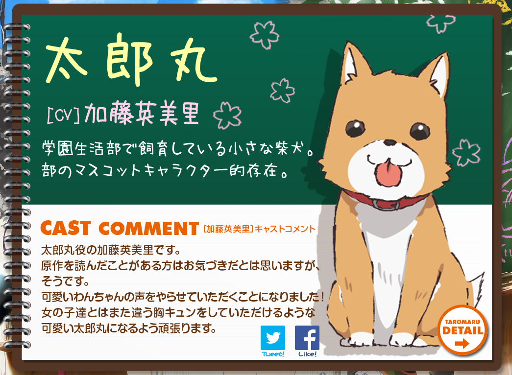 人気なペットの名前選手権🏅🐾