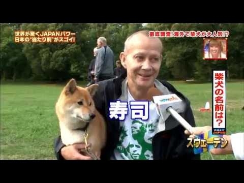 人気なペットの名前選手権🏅🐾