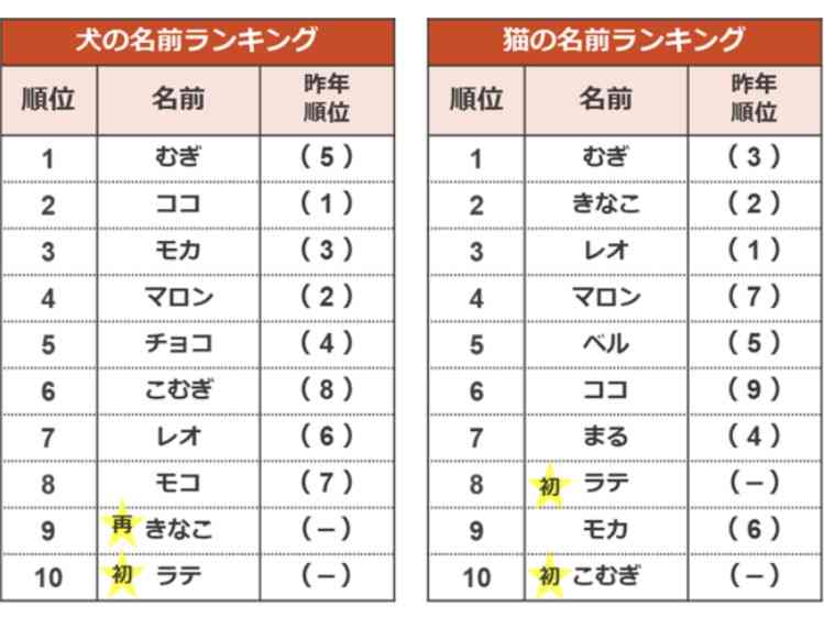 人気なペットの名前選手権🏅🐾