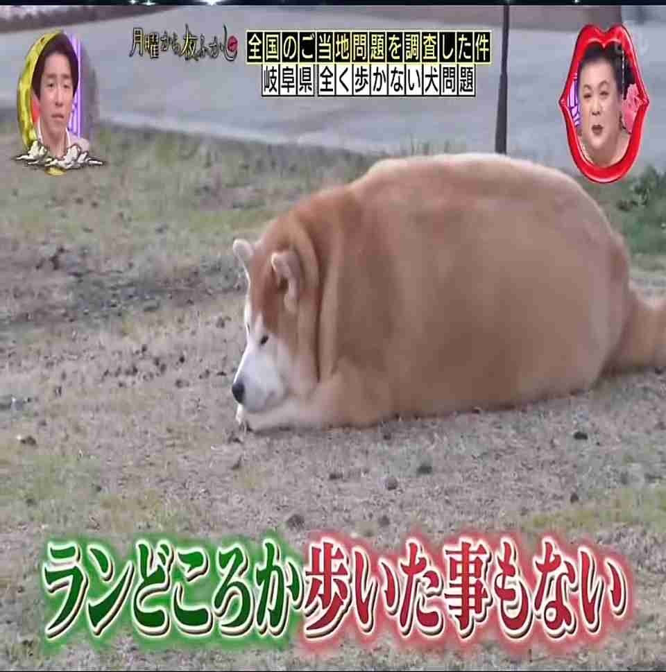 太ってるデメリットをひたすらあげるトピ Part4