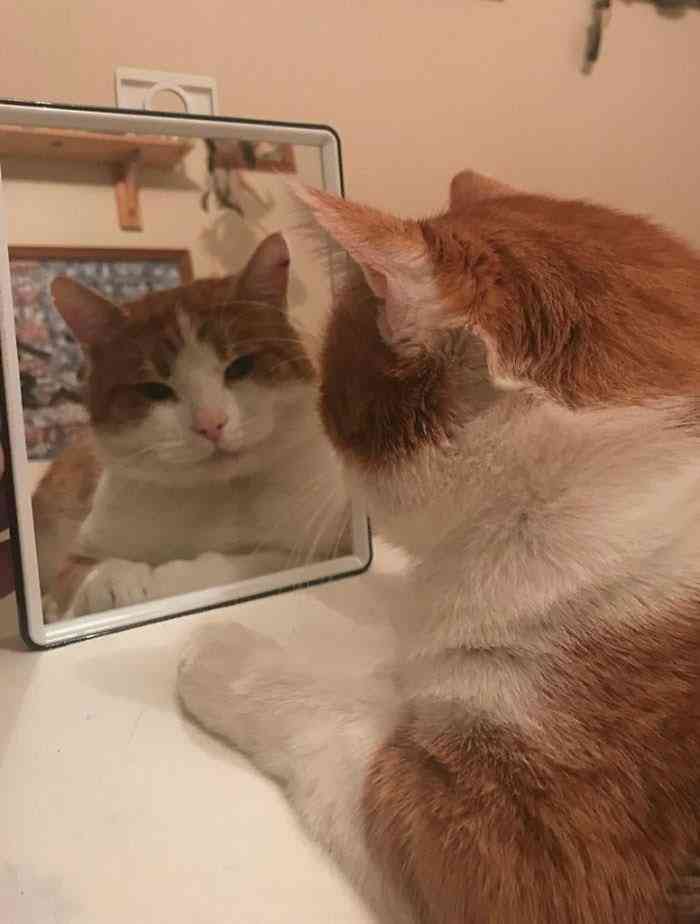 孤独なんて今の時代、大丈夫な気がする