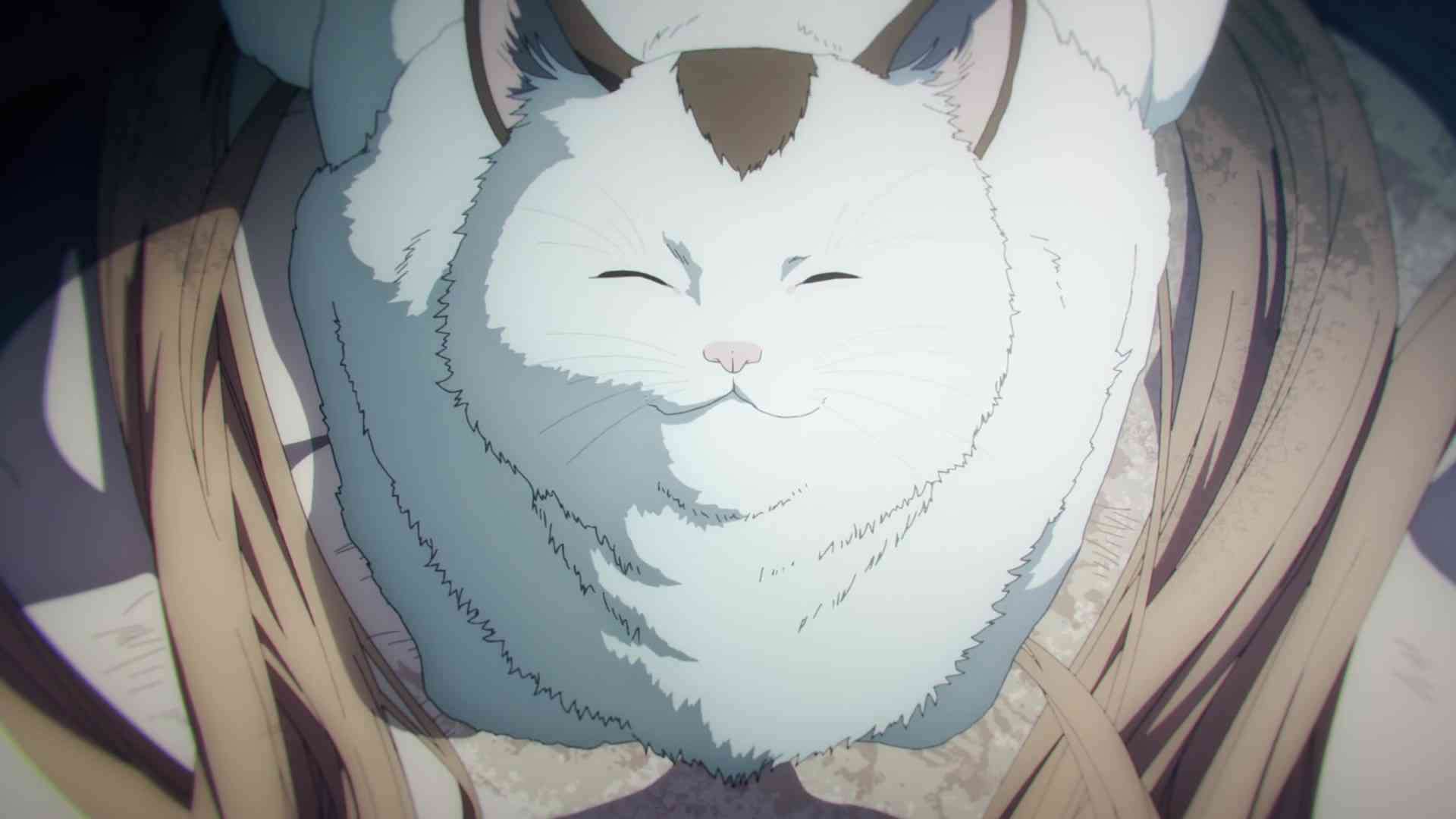 猫の画像だけでどのアニメか当てるスレ
