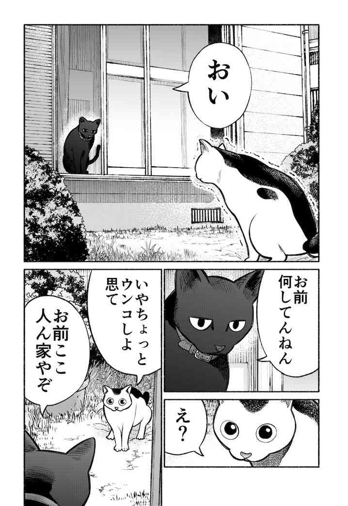 猫の画像だけでどのアニメか当てるスレ