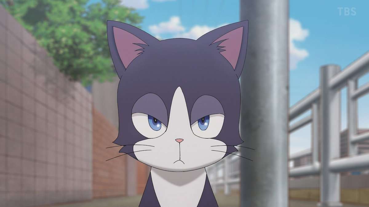猫の画像だけでどのアニメか当てるスレ