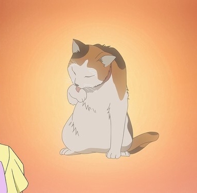 猫の画像だけでどのアニメか当てるスレ