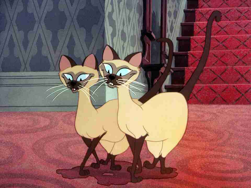 猫の画像だけでどのアニメか当てるスレ