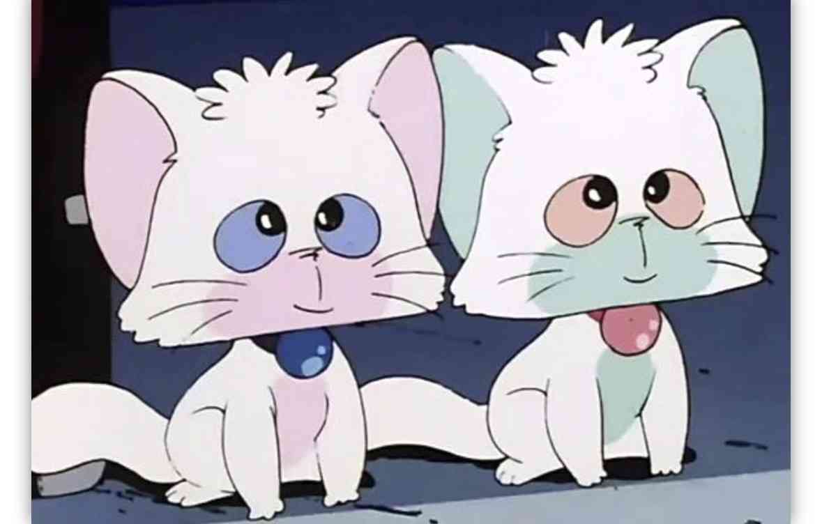 猫の画像だけでどのアニメか当てるスレ