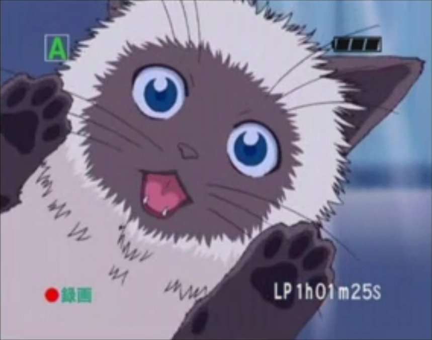 猫の画像だけでどのアニメか当てるスレ