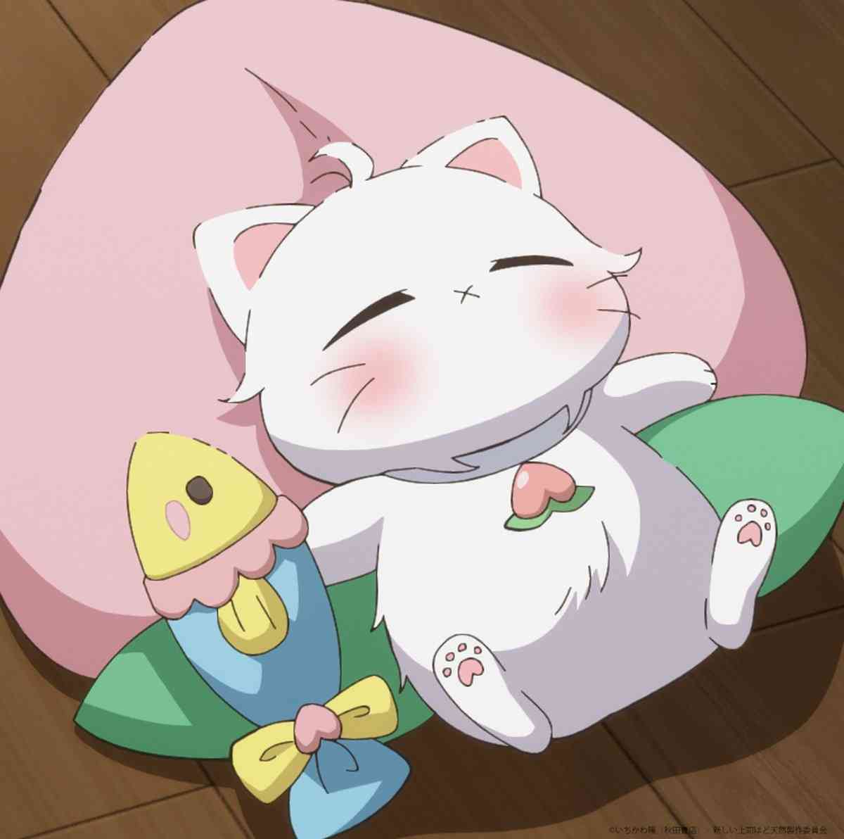 猫の画像だけでどのアニメか当てるスレ