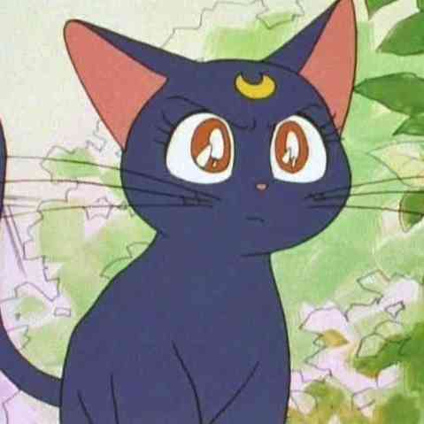 猫の画像だけでどのアニメか当てるスレ