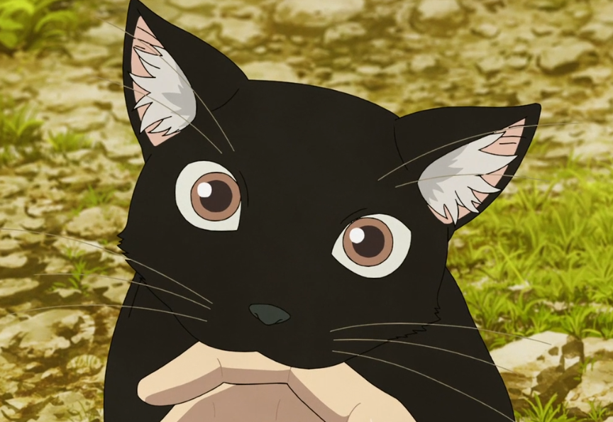猫の画像だけでどのアニメか当てるスレ