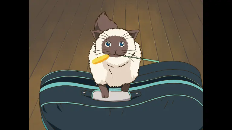 猫の画像だけでどのアニメか当てるスレ