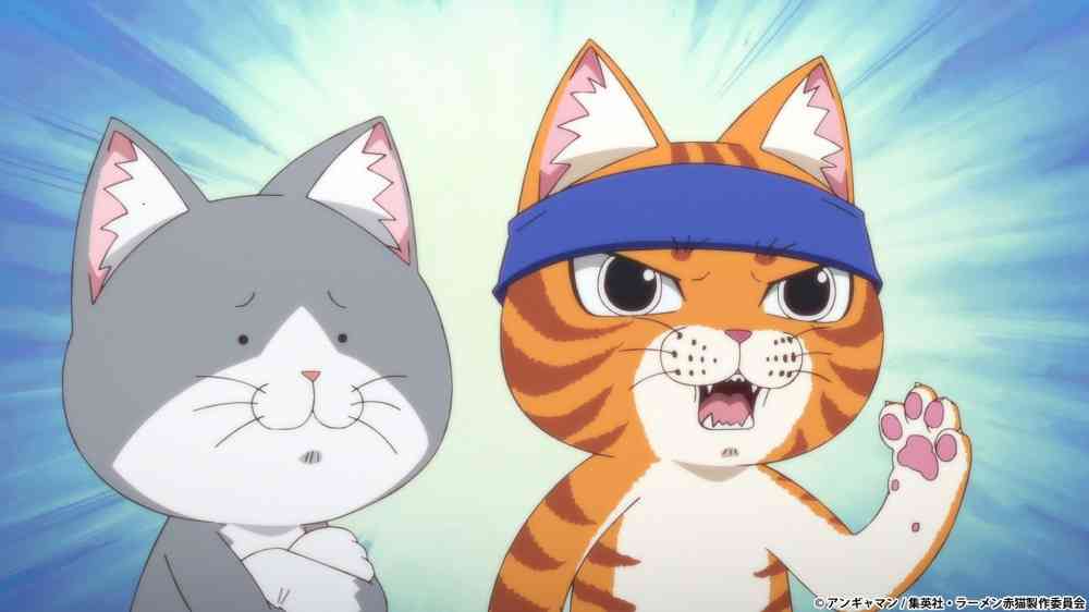 猫の画像だけでどのアニメか当てるスレ