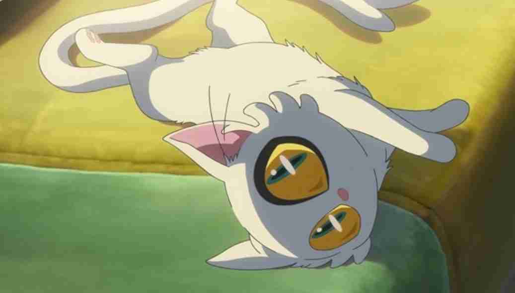 猫の画像だけでどのアニメか当てるスレ