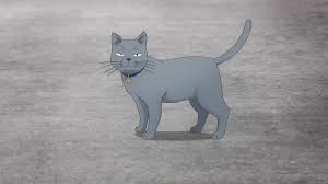 猫の画像だけでどのアニメか当てるスレ