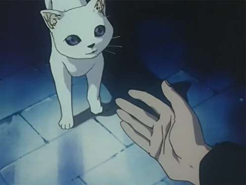 猫の画像だけでどのアニメか当てるスレ
