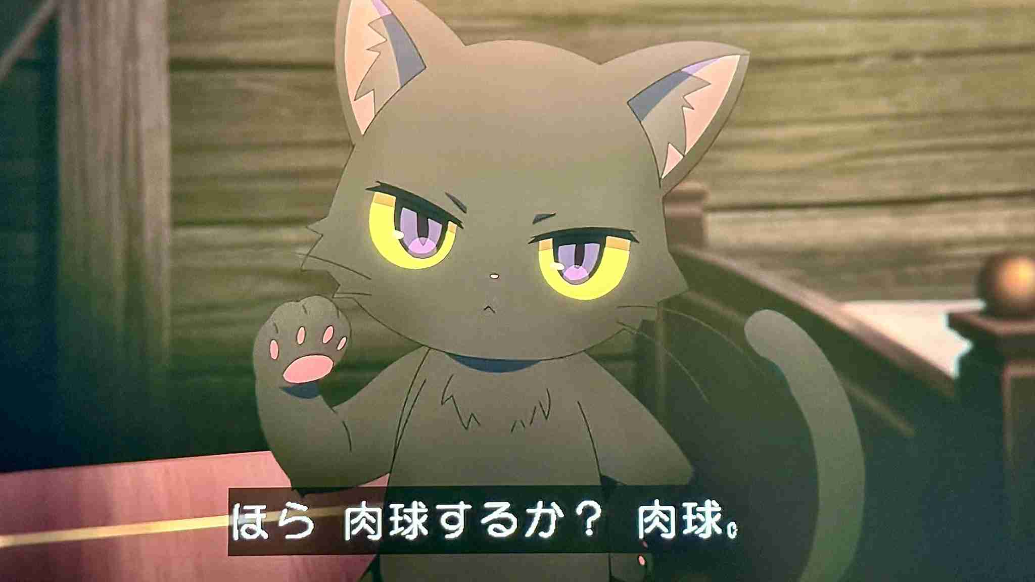猫の画像だけでどのアニメか当てるスレ