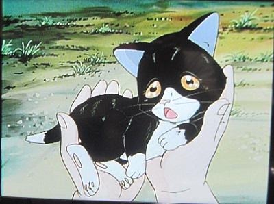猫の画像だけでどのアニメか当てるスレ