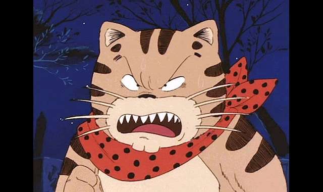 猫の画像だけでどのアニメか当てるスレ